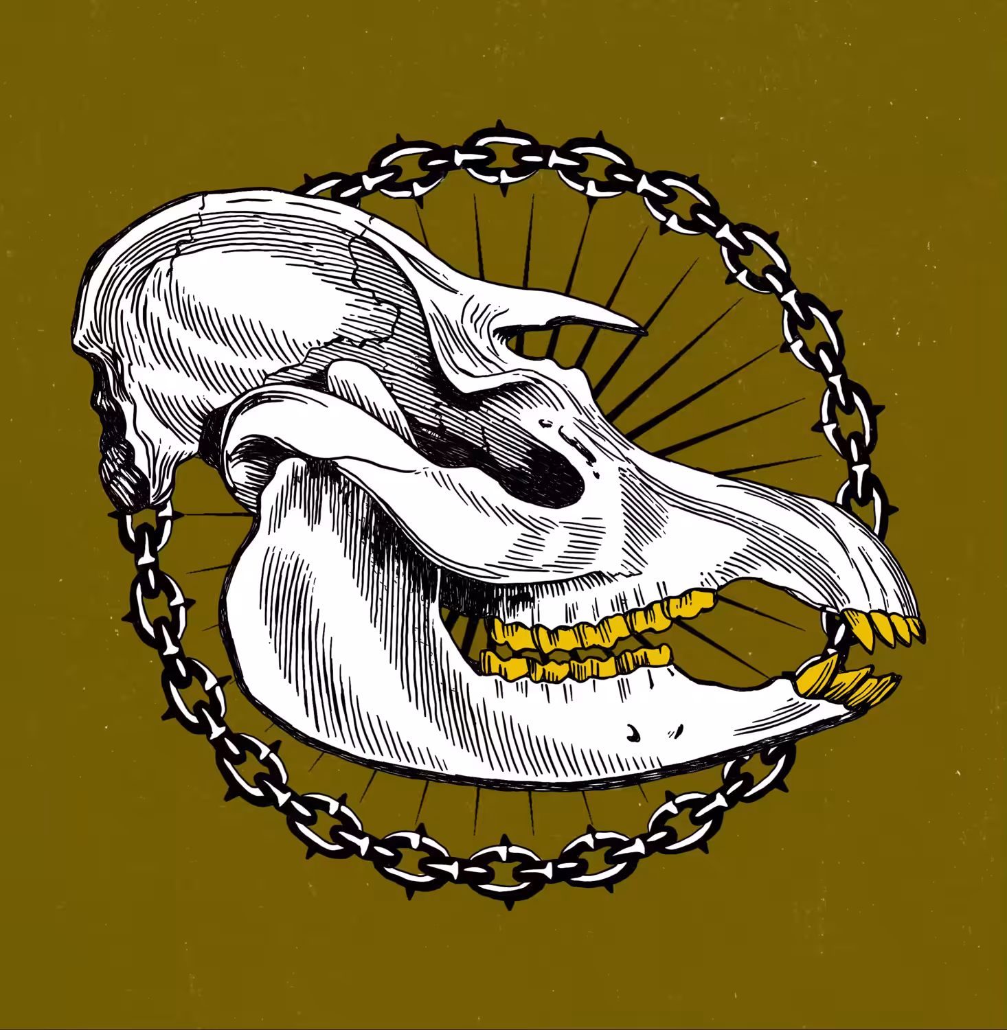 TAPIR SKULL