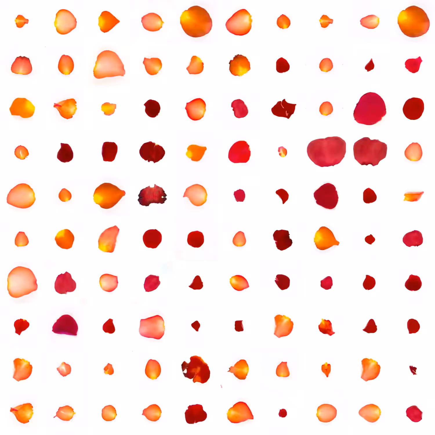 Infinite Petals 10x10#10142
