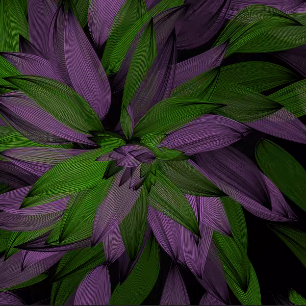 Petal in Hope of Light #52