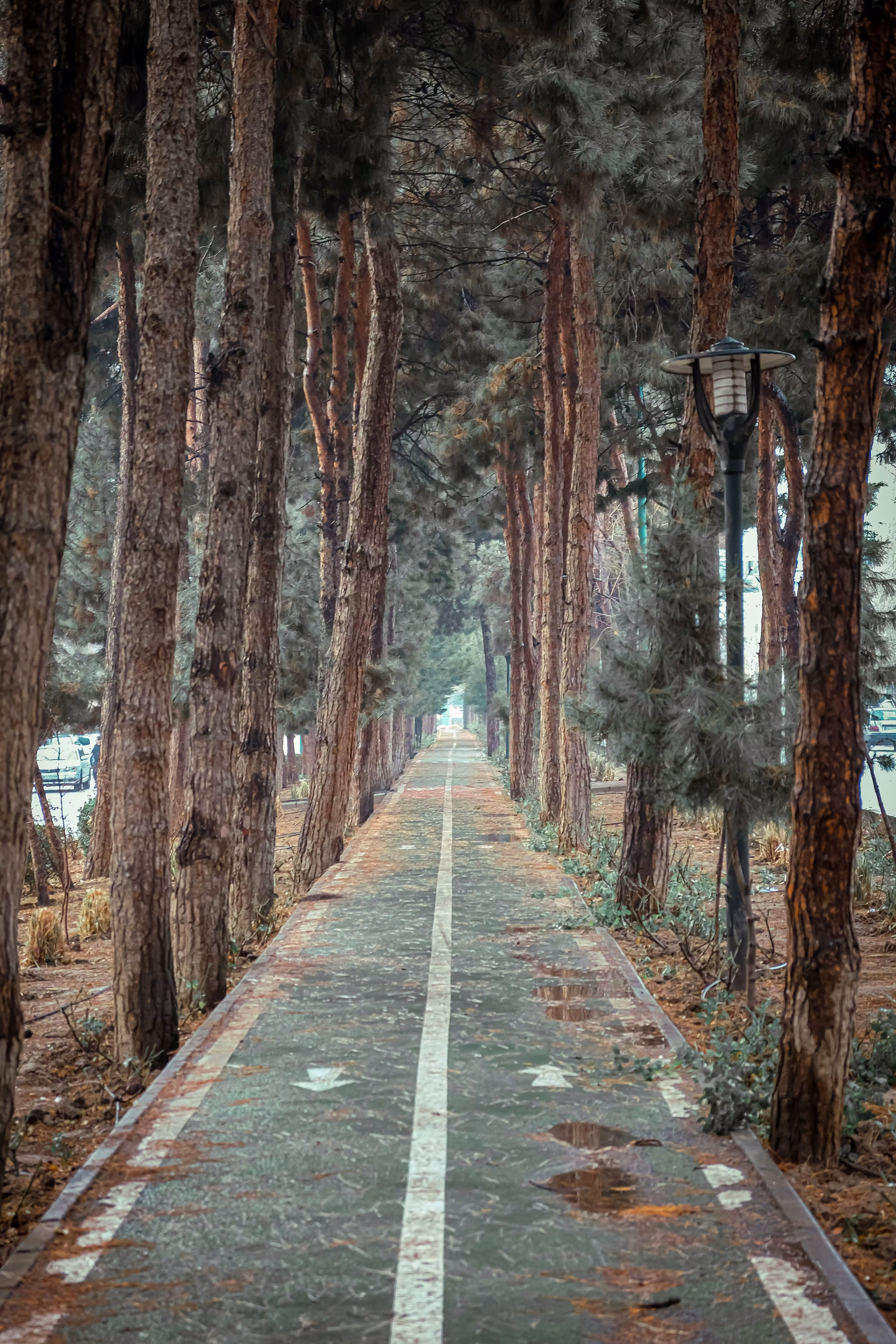Road to peace
