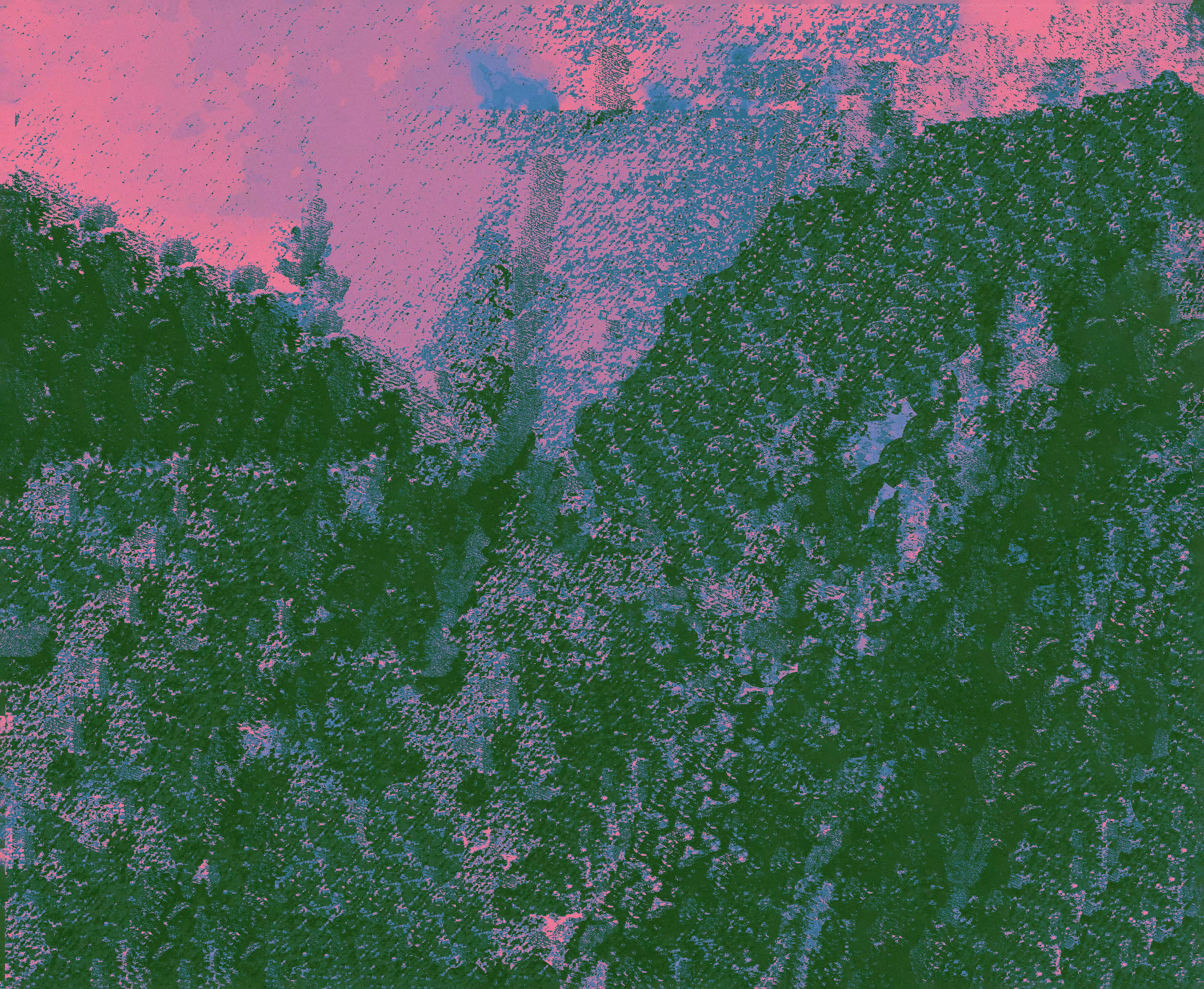 Wildflowers XLVI