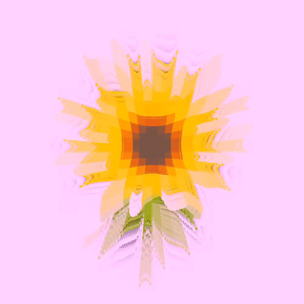 🌻