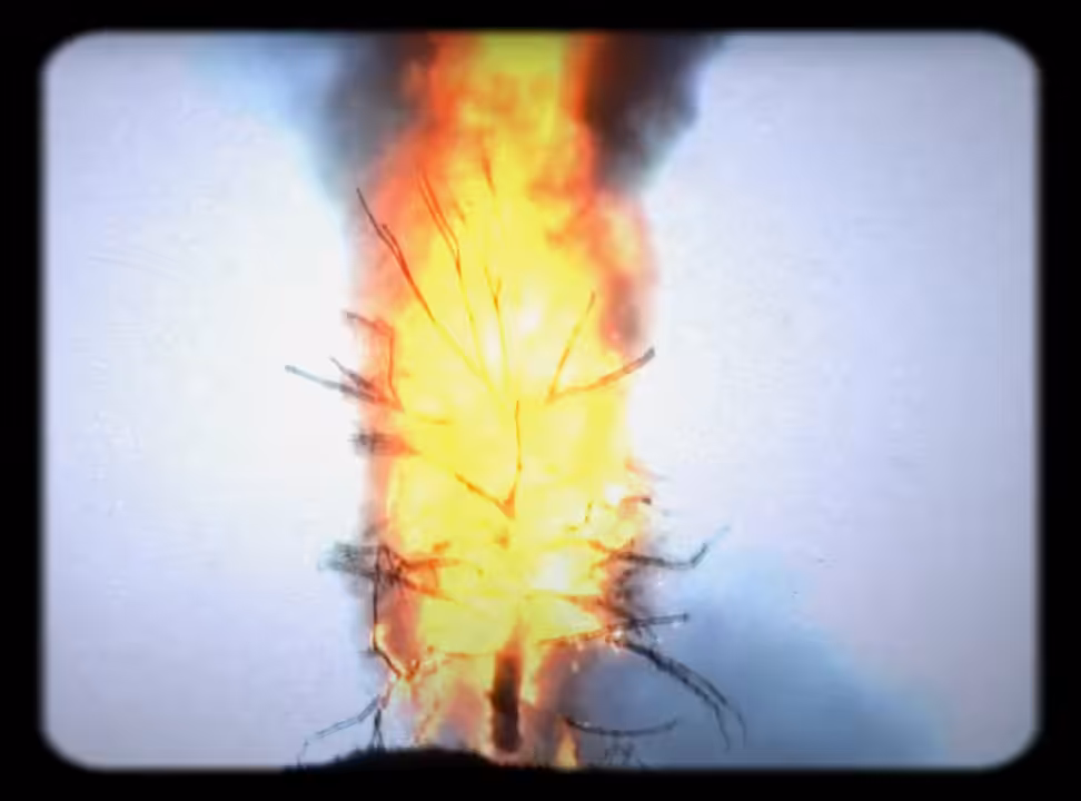 Burn