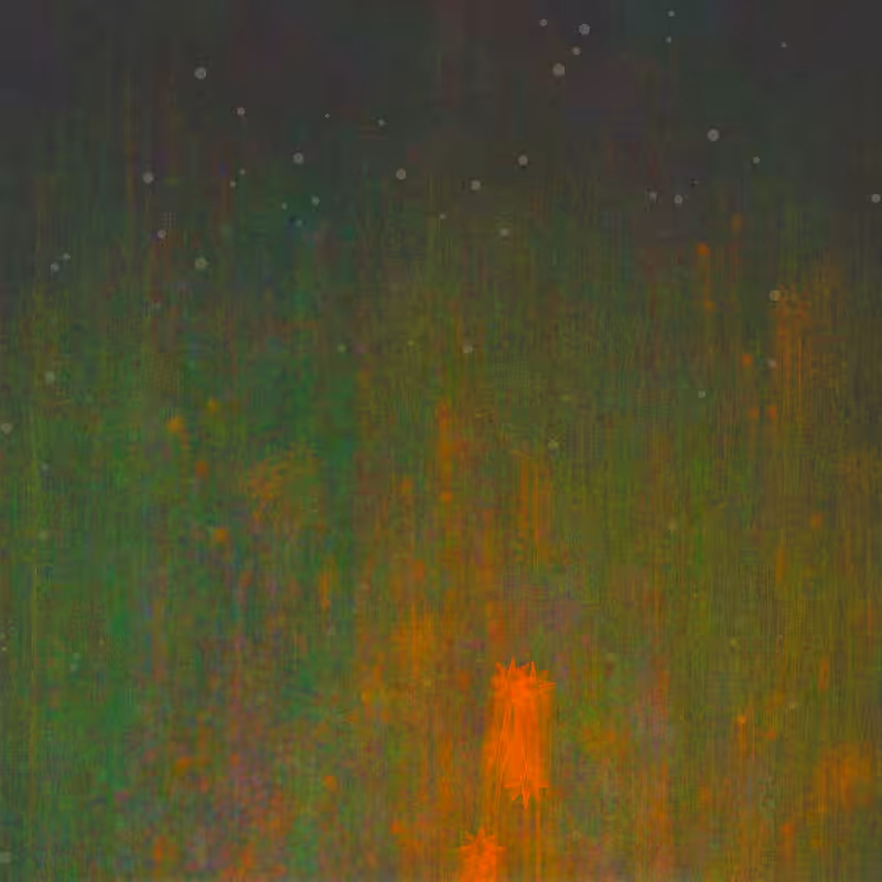 Specters of nature #17