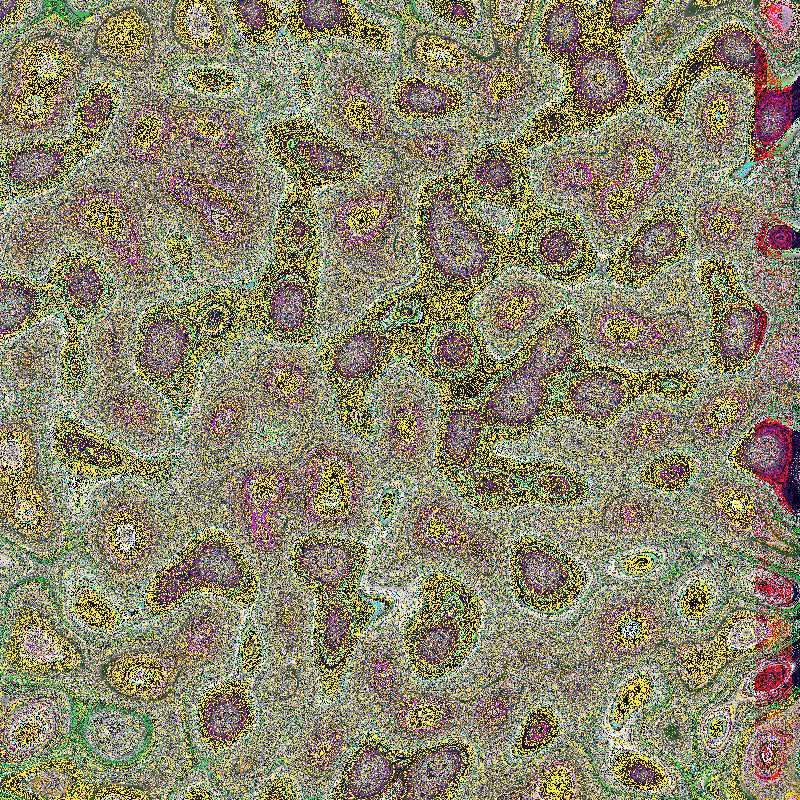 Bacteria Scanner #14