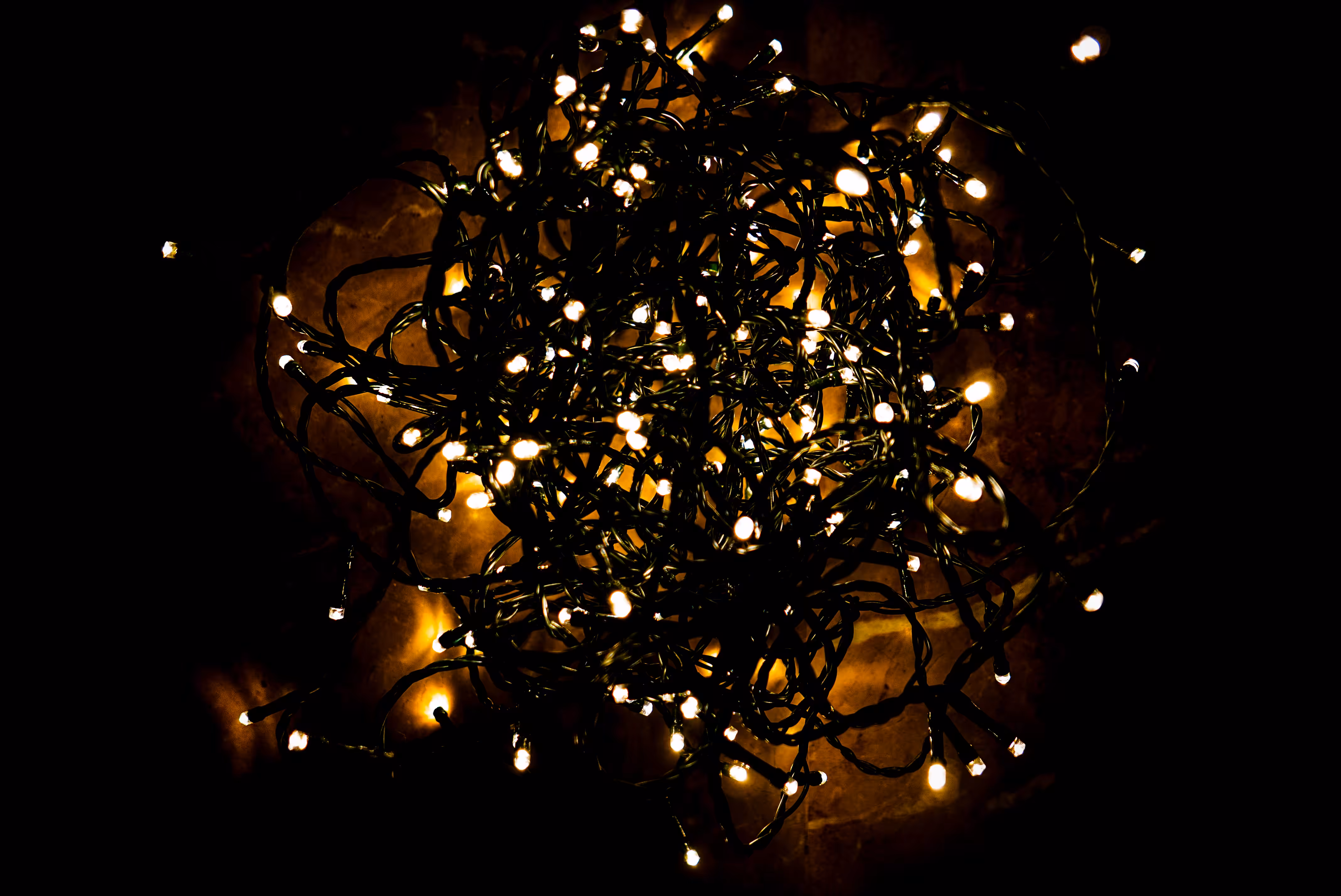 Tangled Christmas
