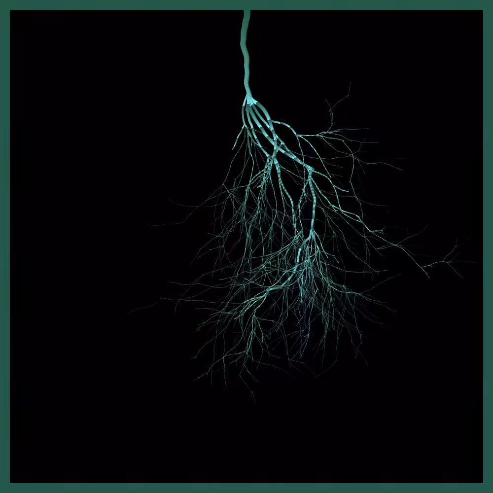 Arbres suspendus #93