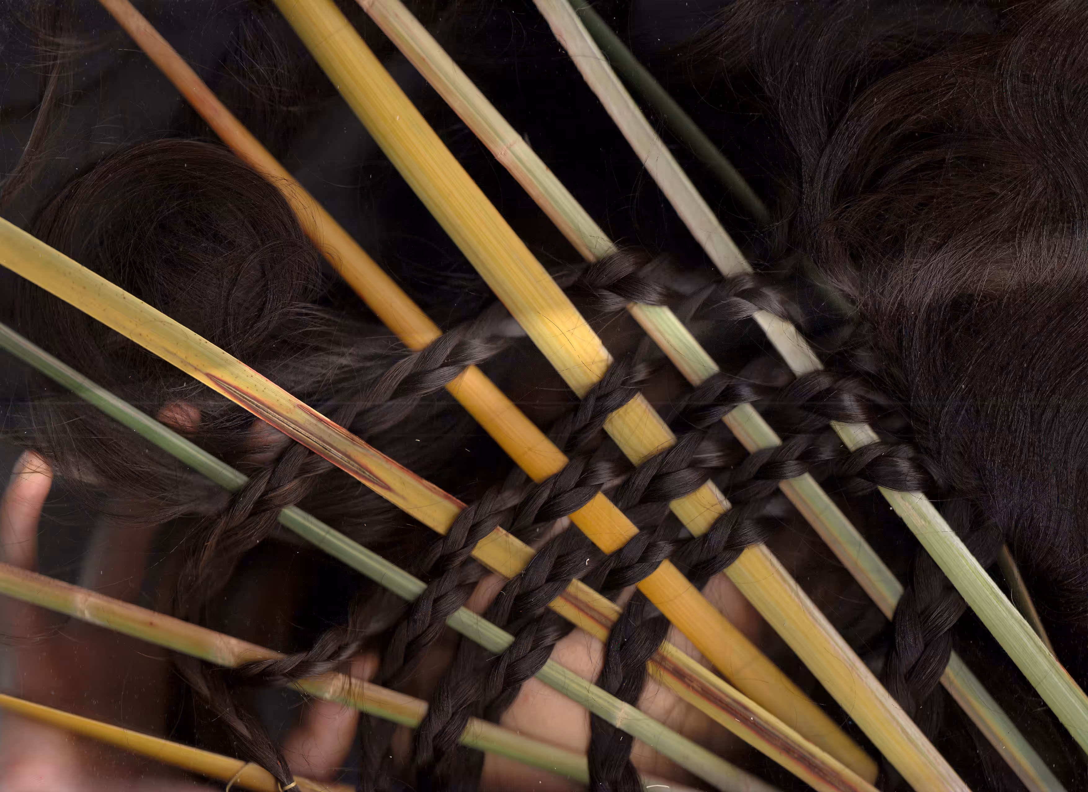 Weaving with Phormium tenax Variegatum