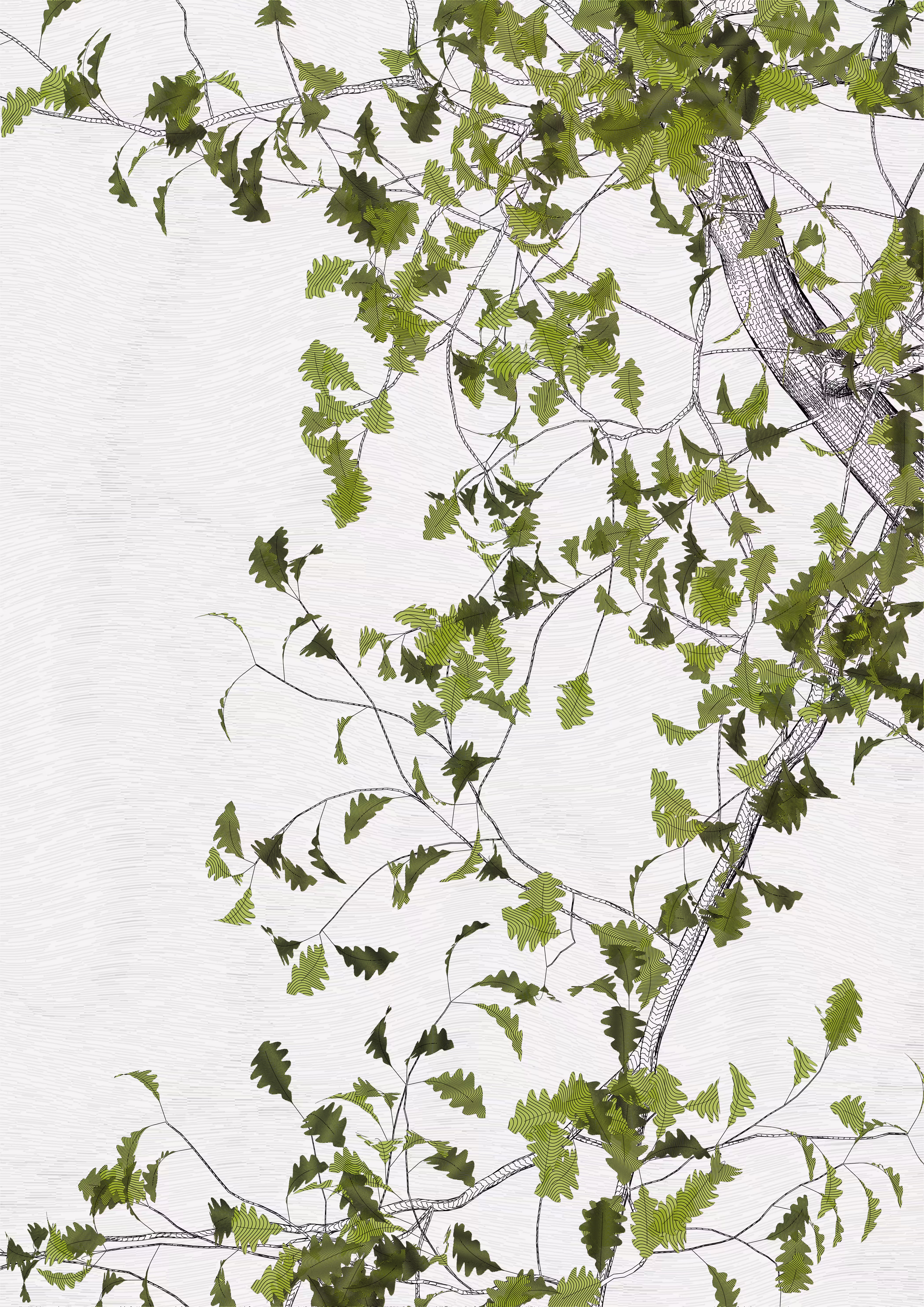 The Oak Tree part #-1,0