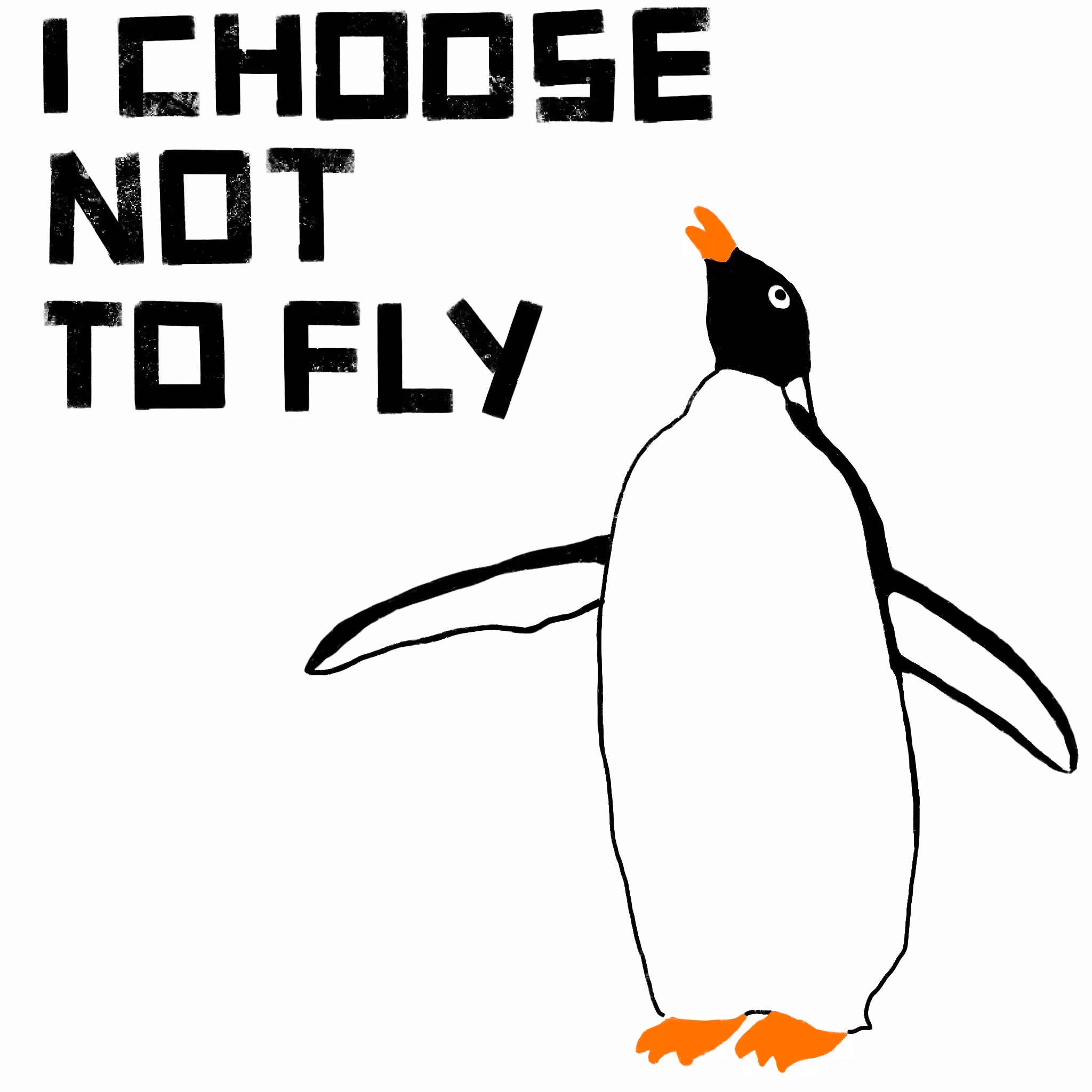 I CHOOSE NOT TO FLY