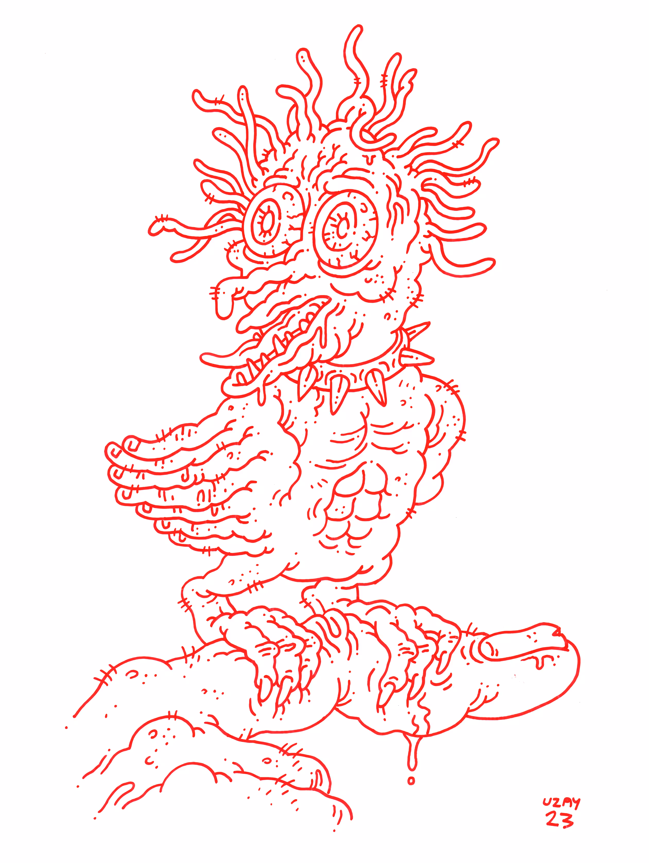 WYLDLYFE : The Little Birdie