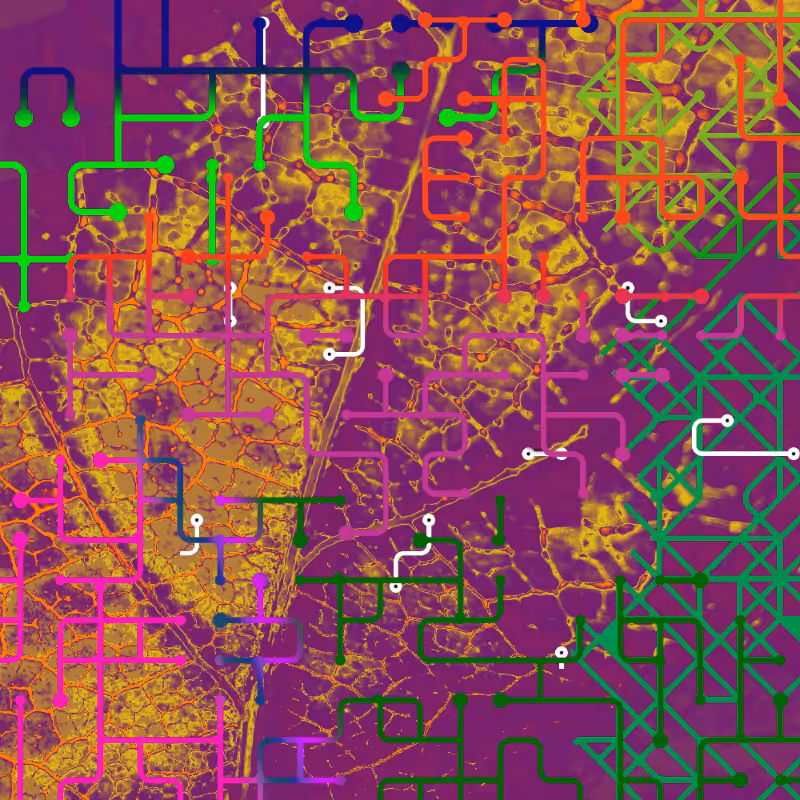 CHAOS #46