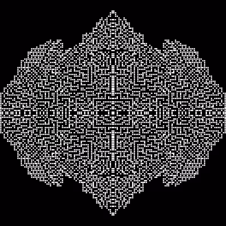 Cellular Canvas #27