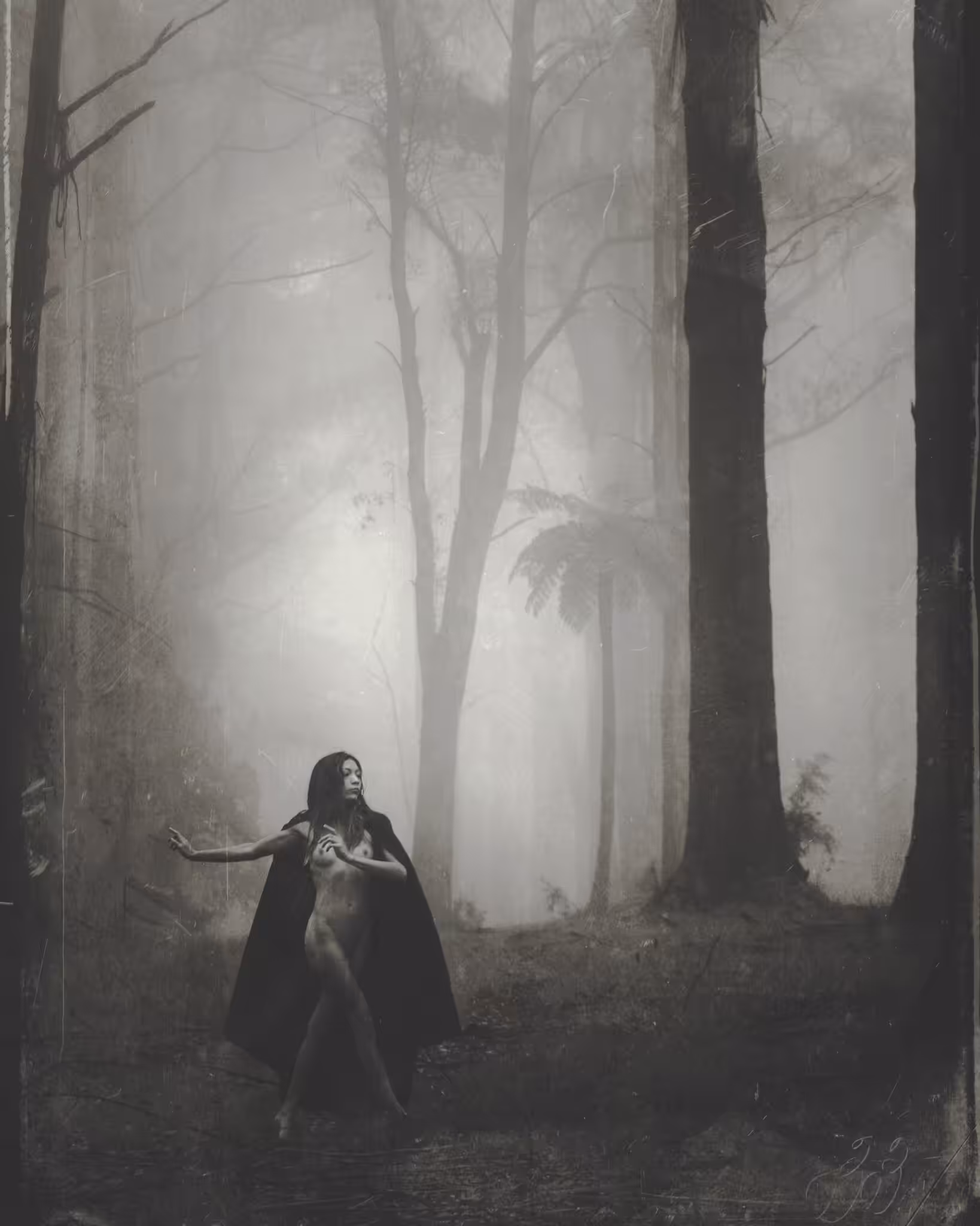Dancing in the Mist