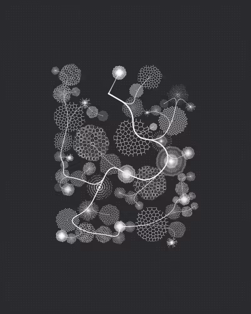 Florilegium #63