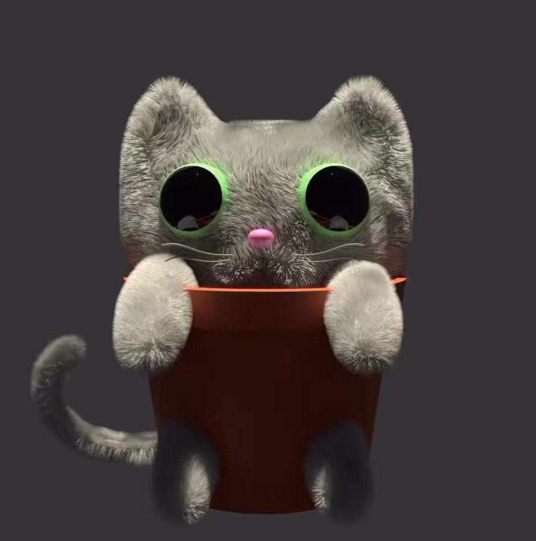 PoT Cat!