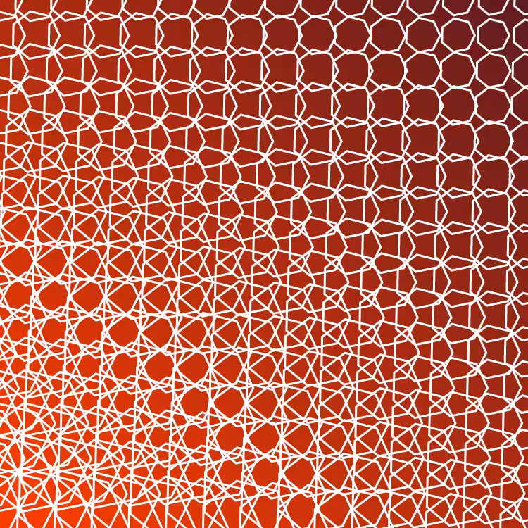 bilinearInterpolationTwist #72
