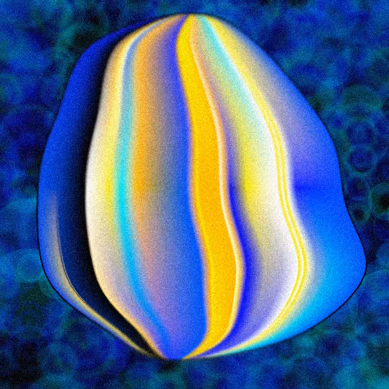 Gradientropy #8