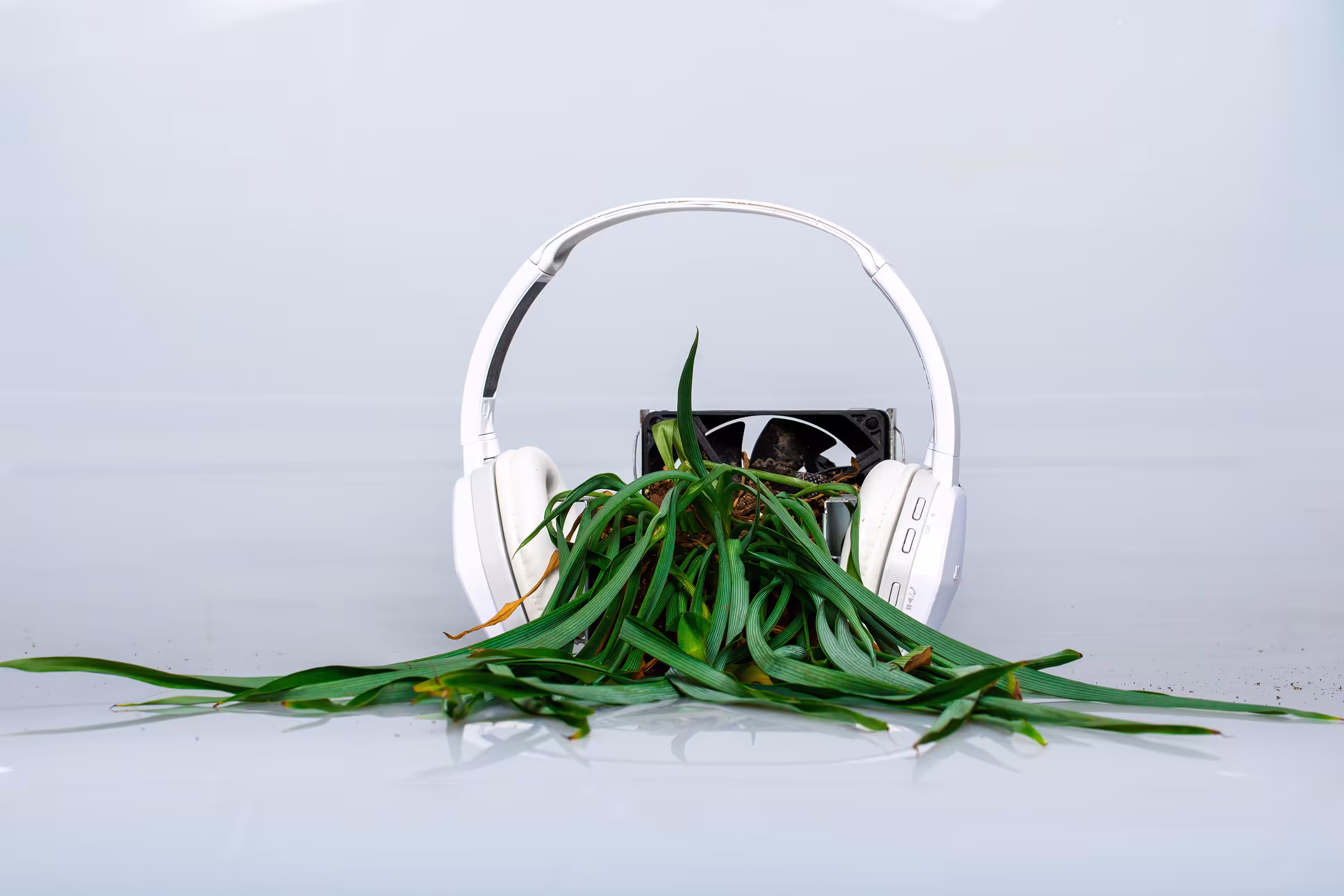 Beats