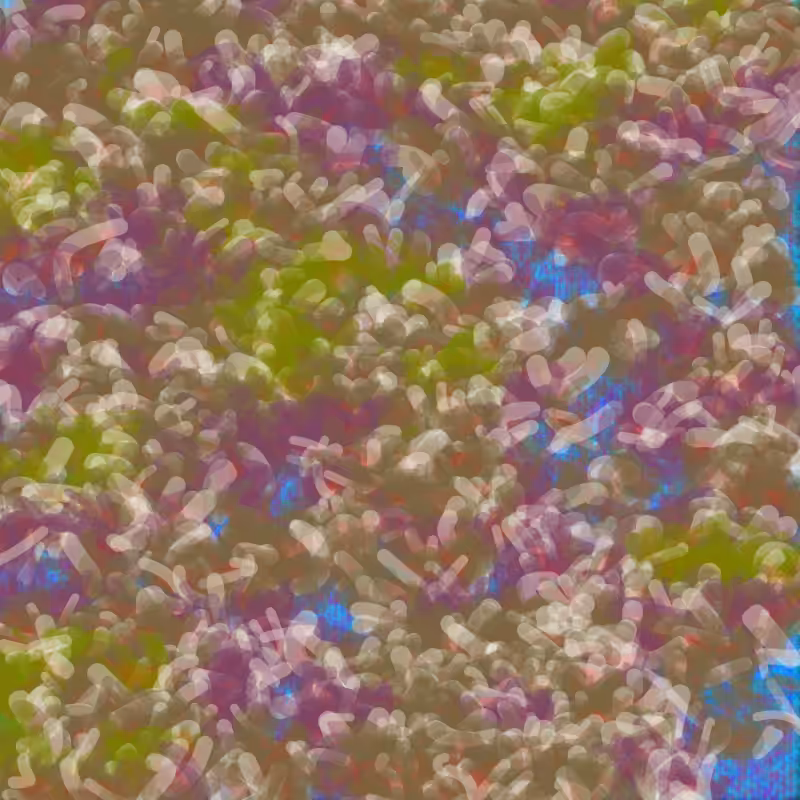 Petri 1500 #1156