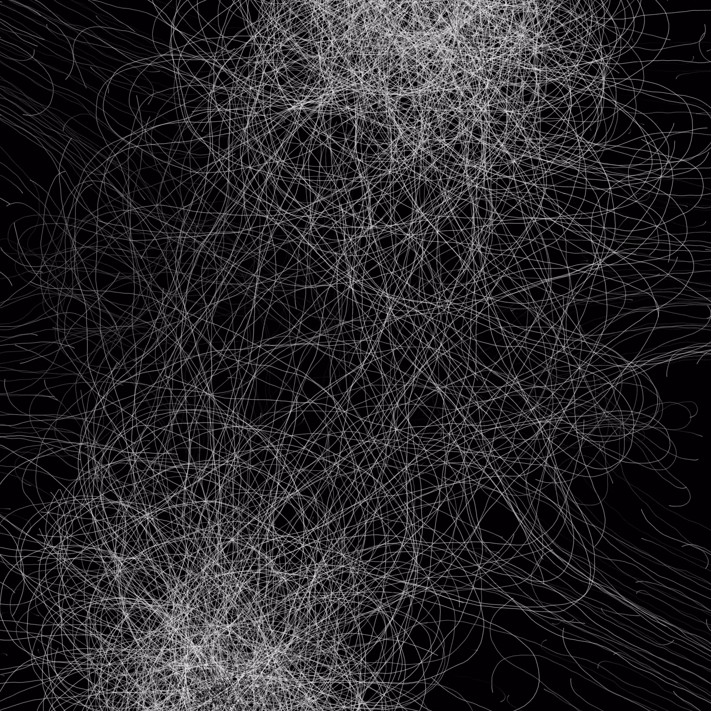 Phototaxis #367