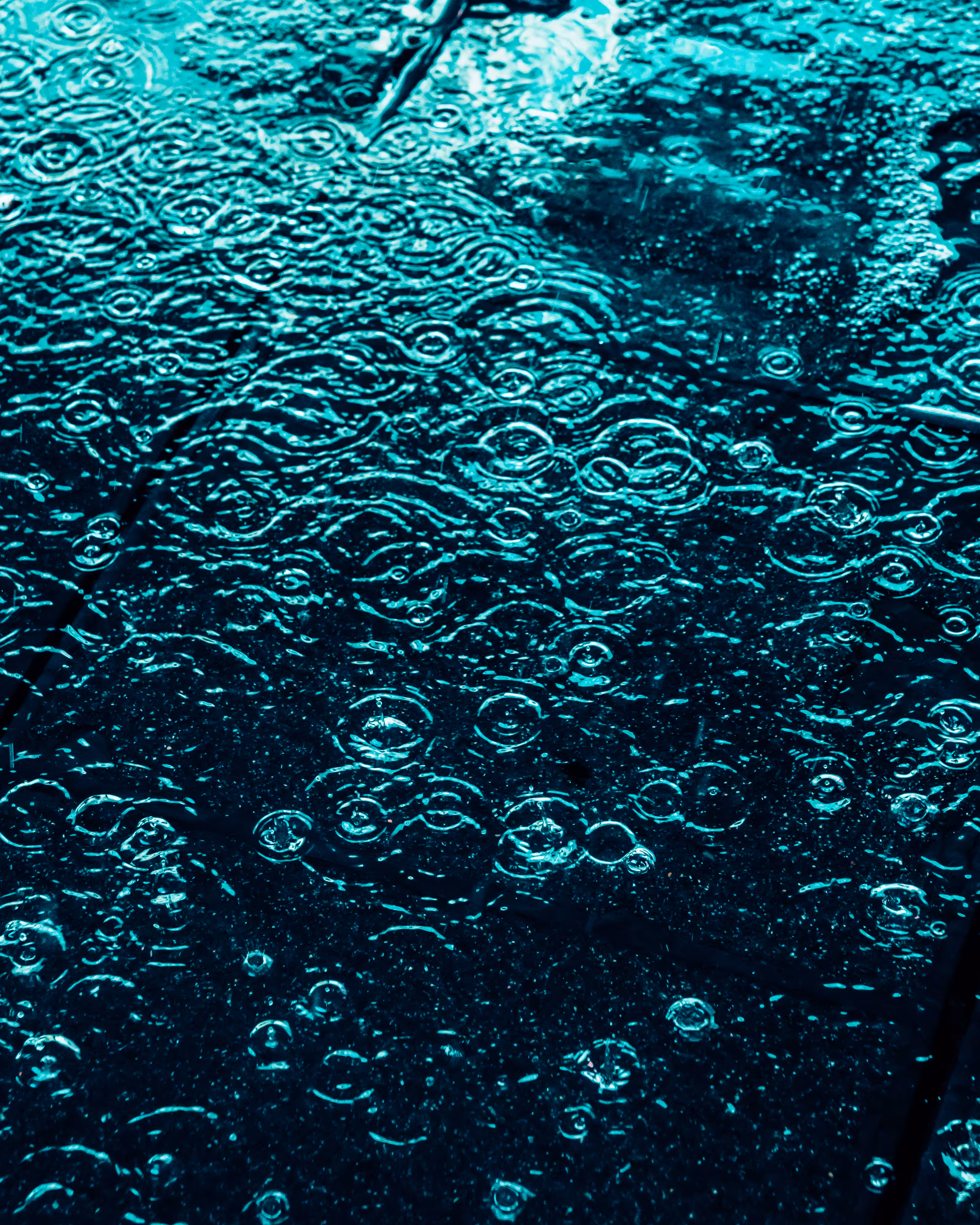 DRIP DROP: DRIP #833