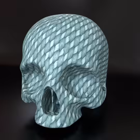 SkullZ #204