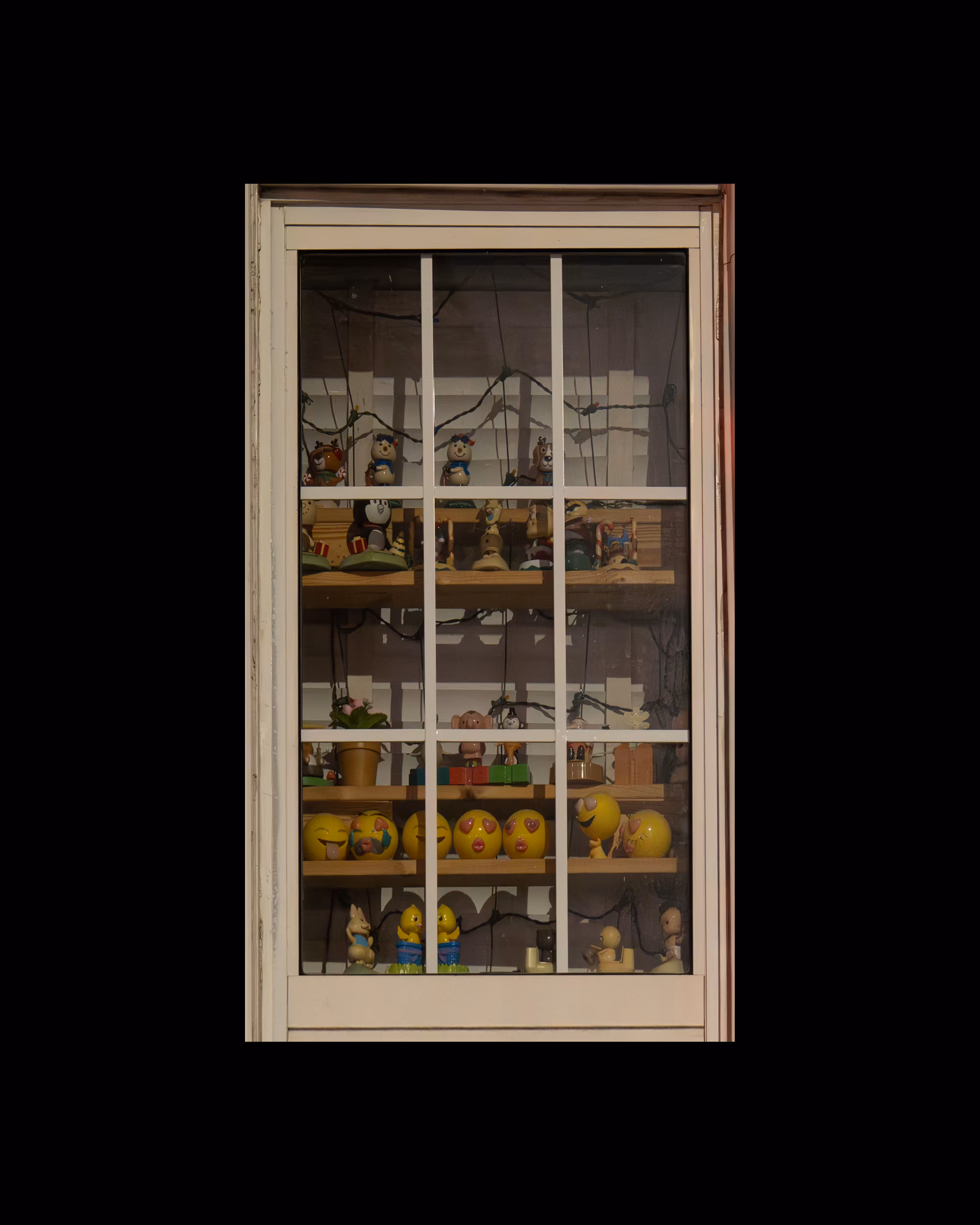 WINDOWS // NYC: WINDOW 205