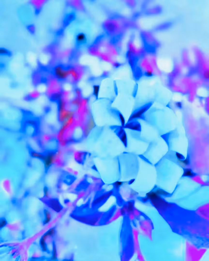 Dreamy Blue Flower