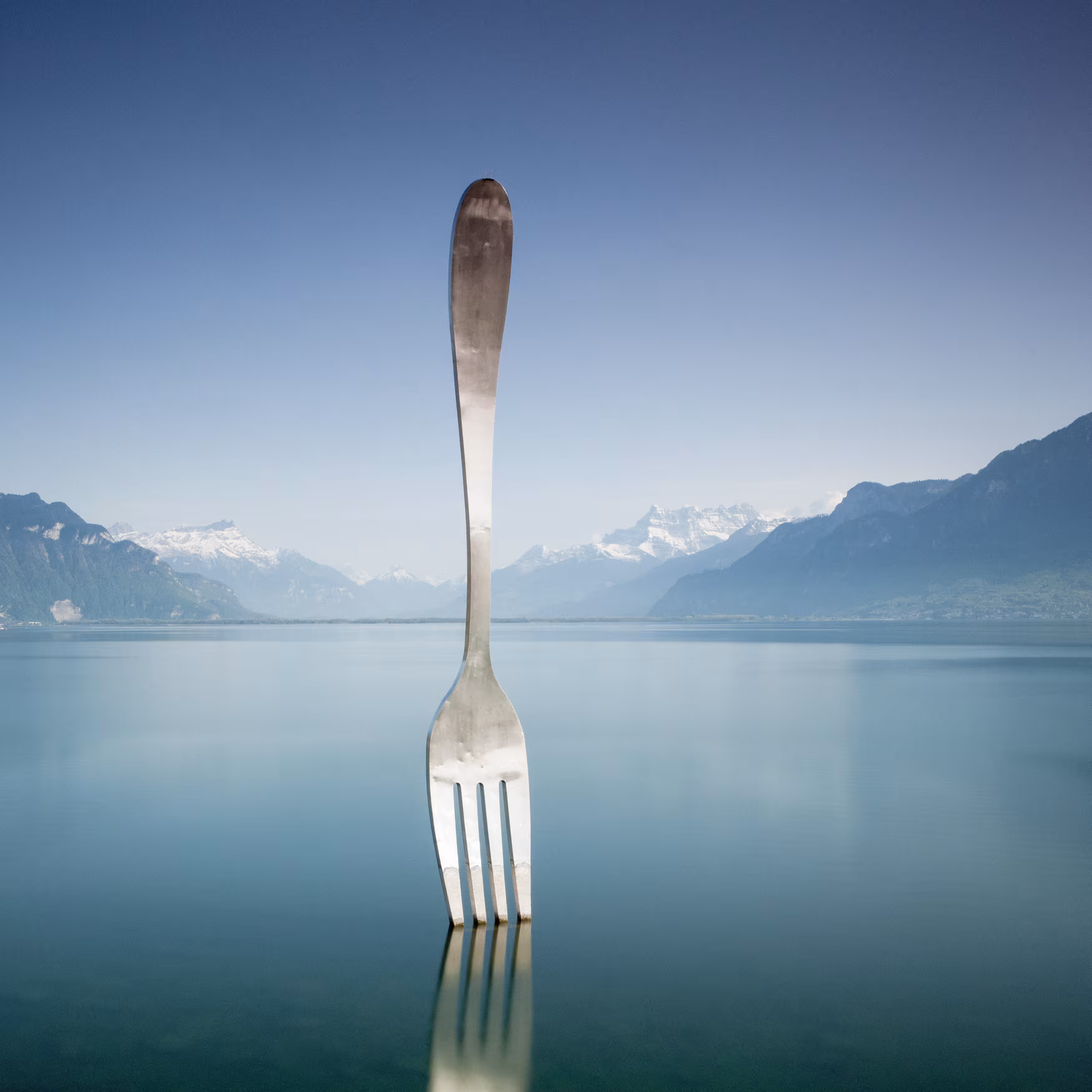A fork