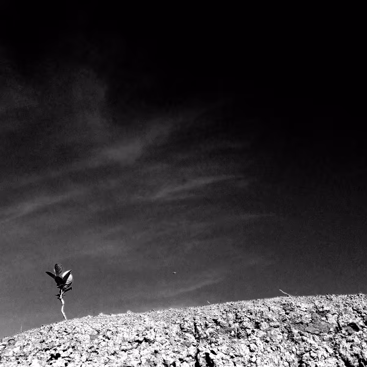 BLACK SKY #1