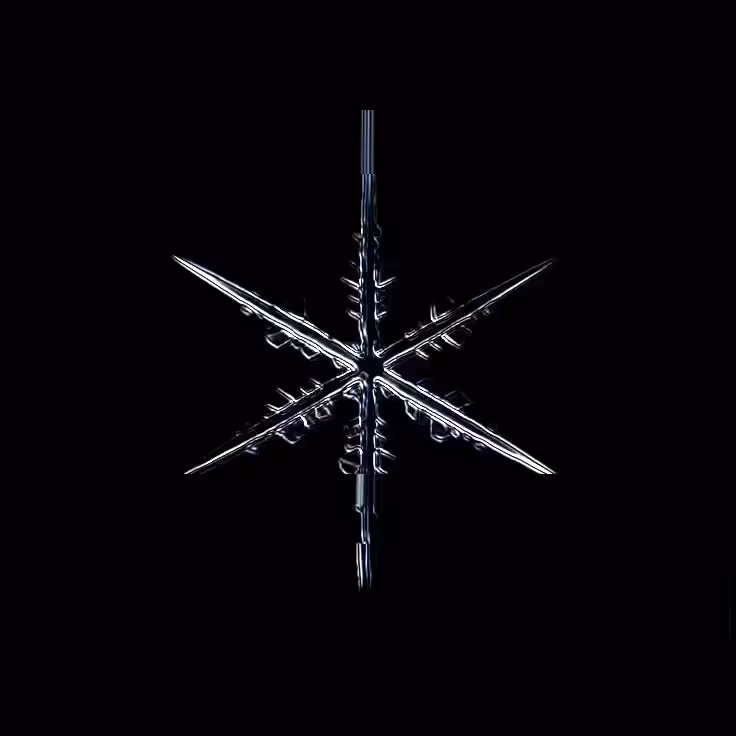 SNOW SIGNAL 003