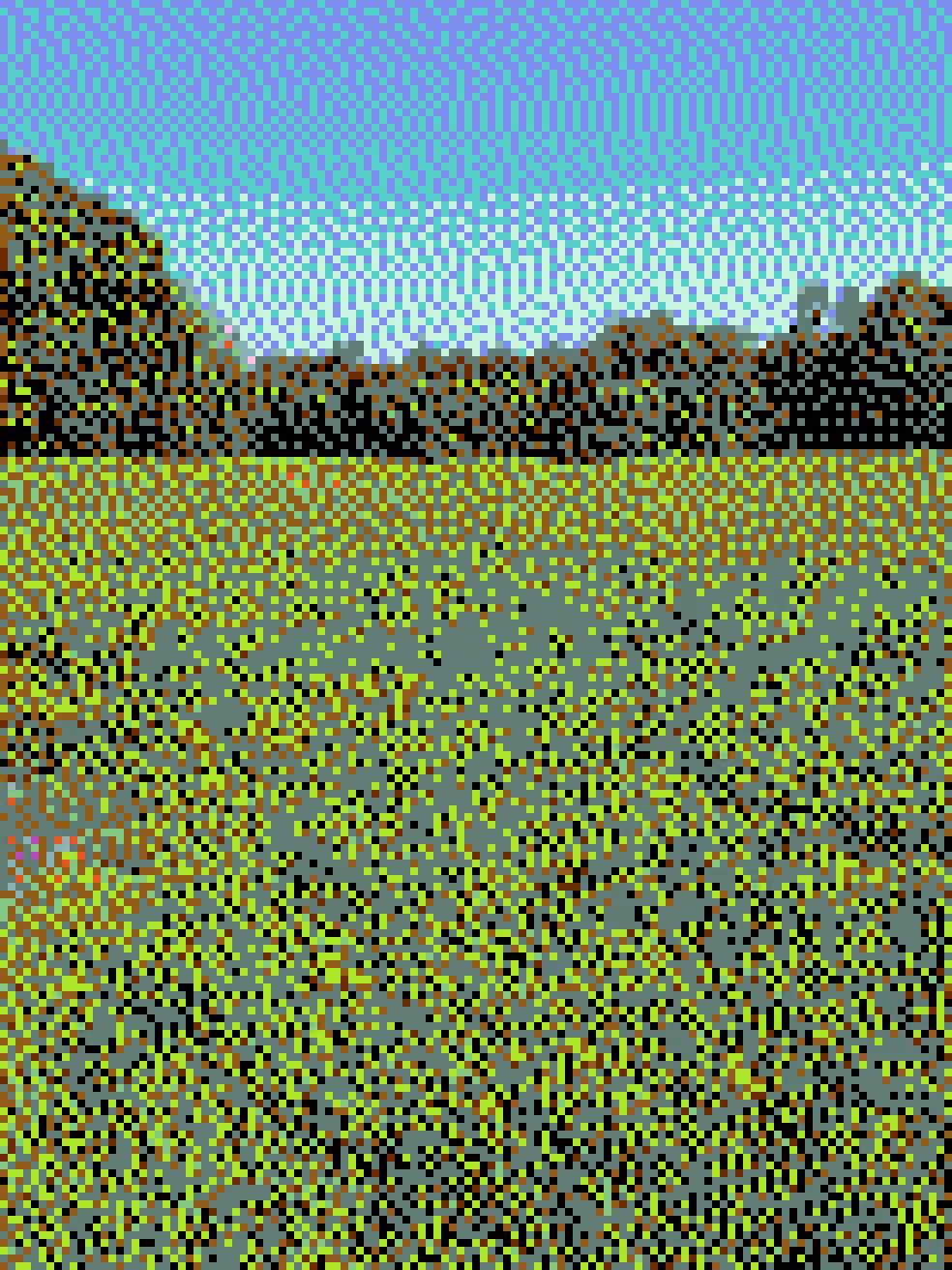 a wildflower meadow