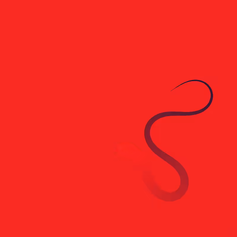Curvature Movements #1