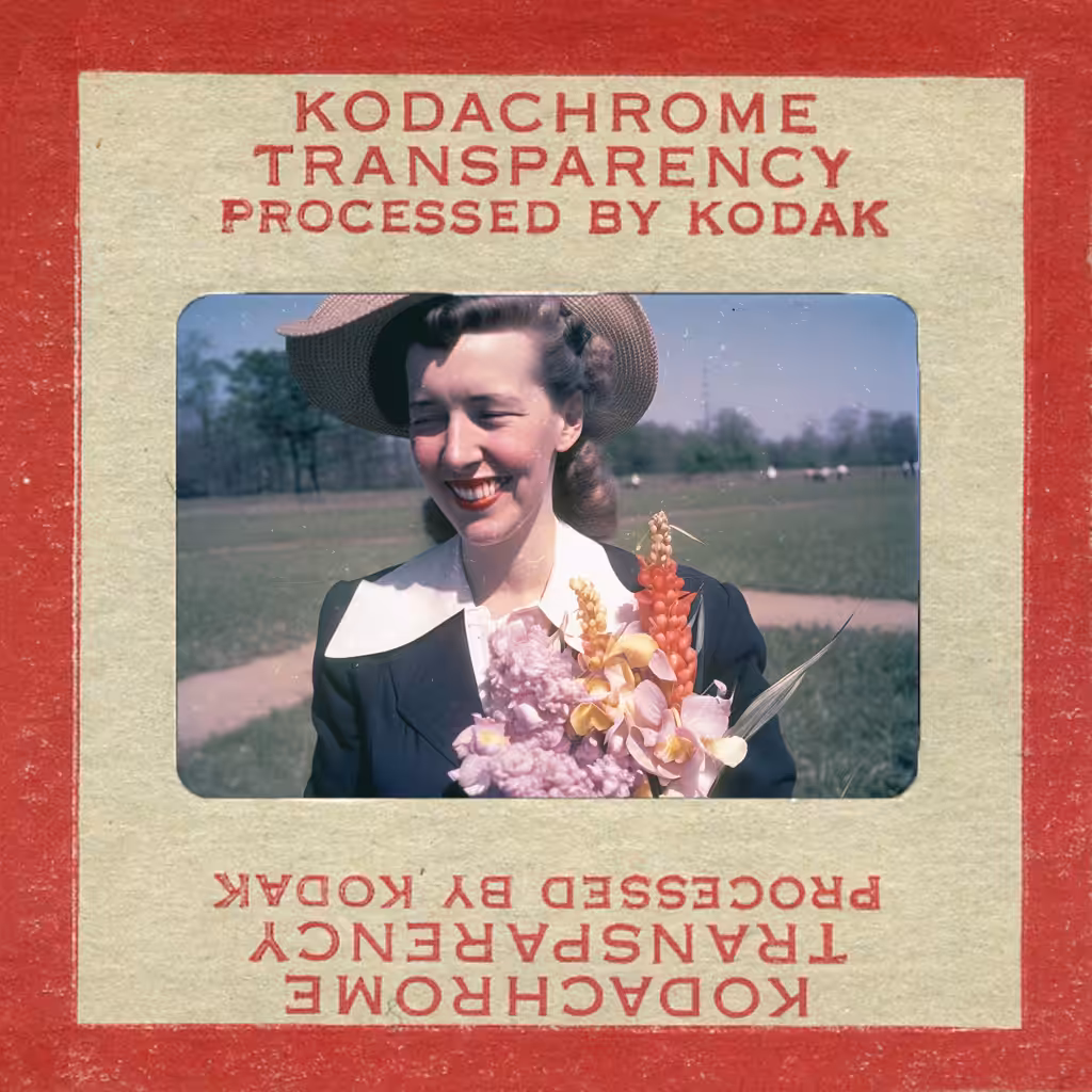 Flora Arrangement, Color Reversal Film (kodachrome), 1954