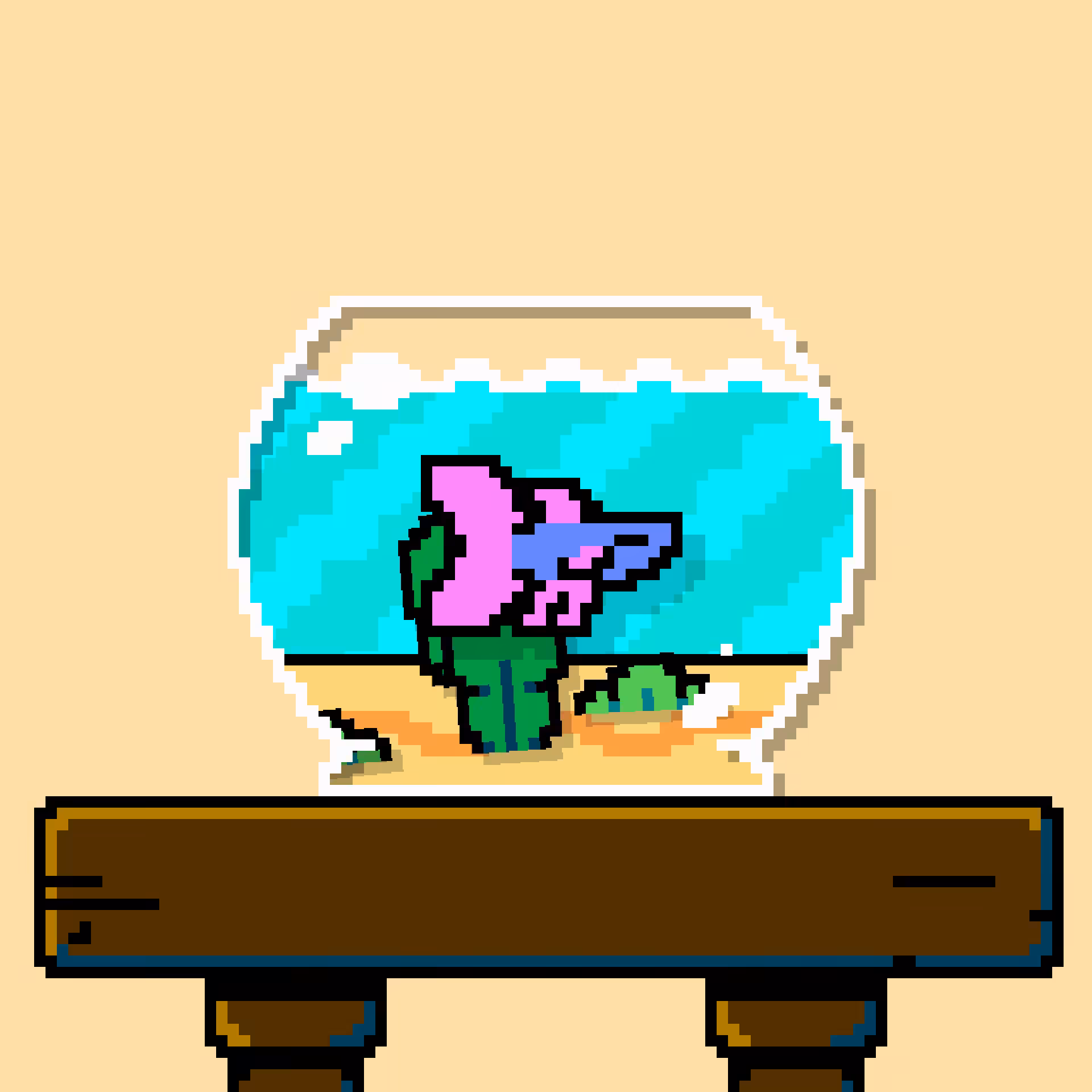 betta fish #677