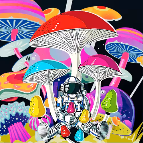 Astronaut Training