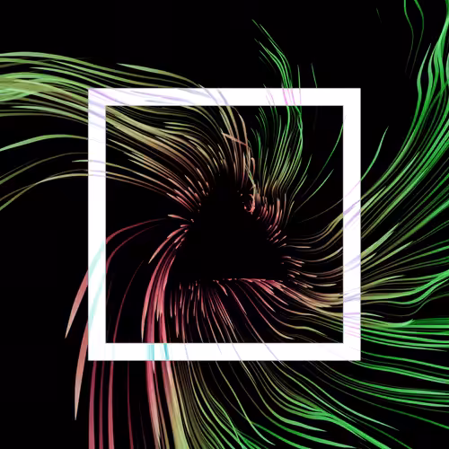 Vortex #1207