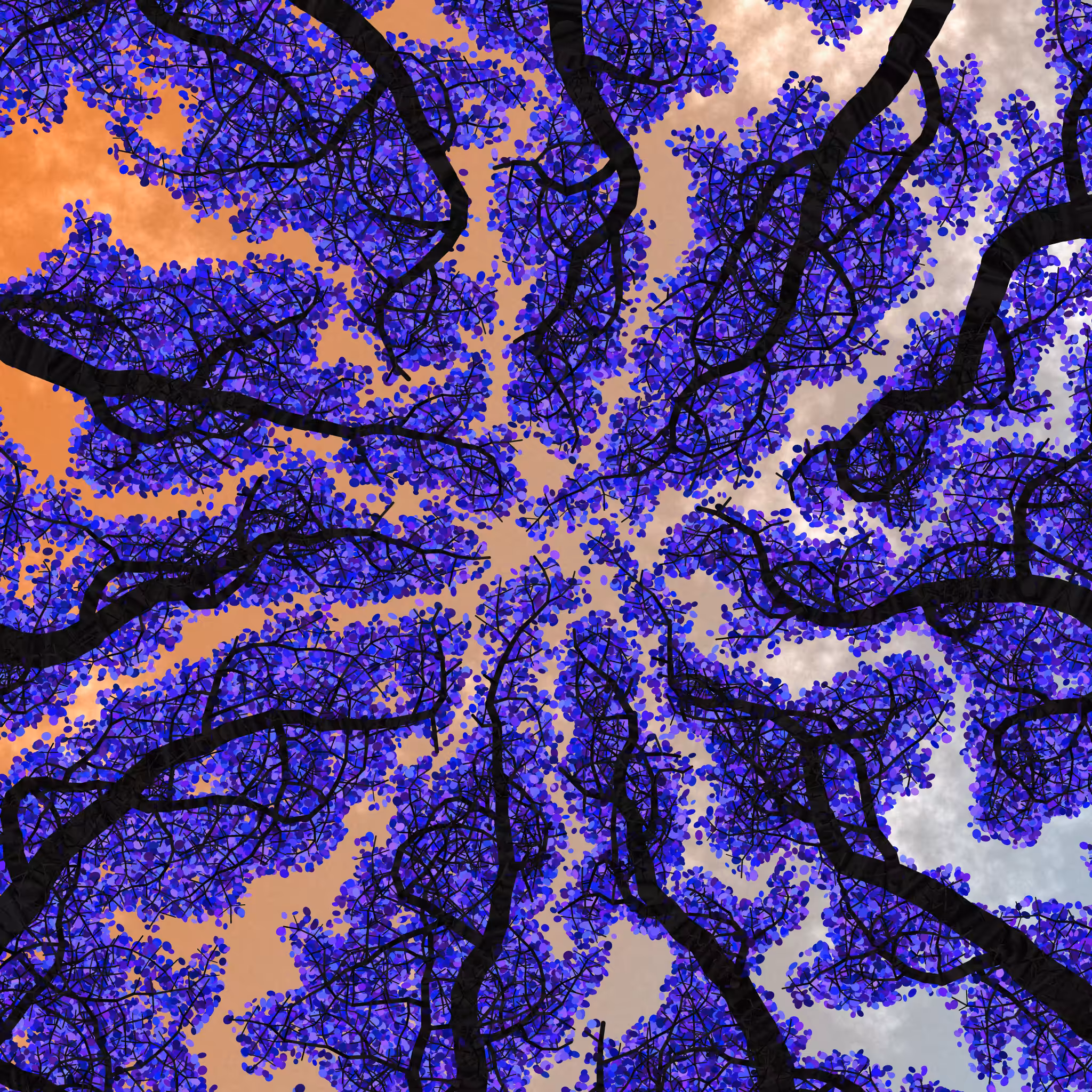 Tree Skyness #105