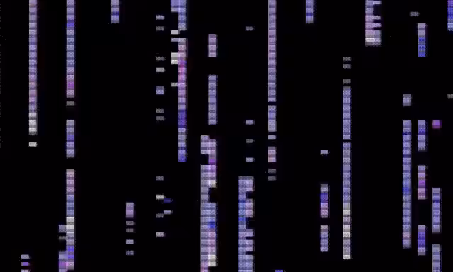 XL_21116