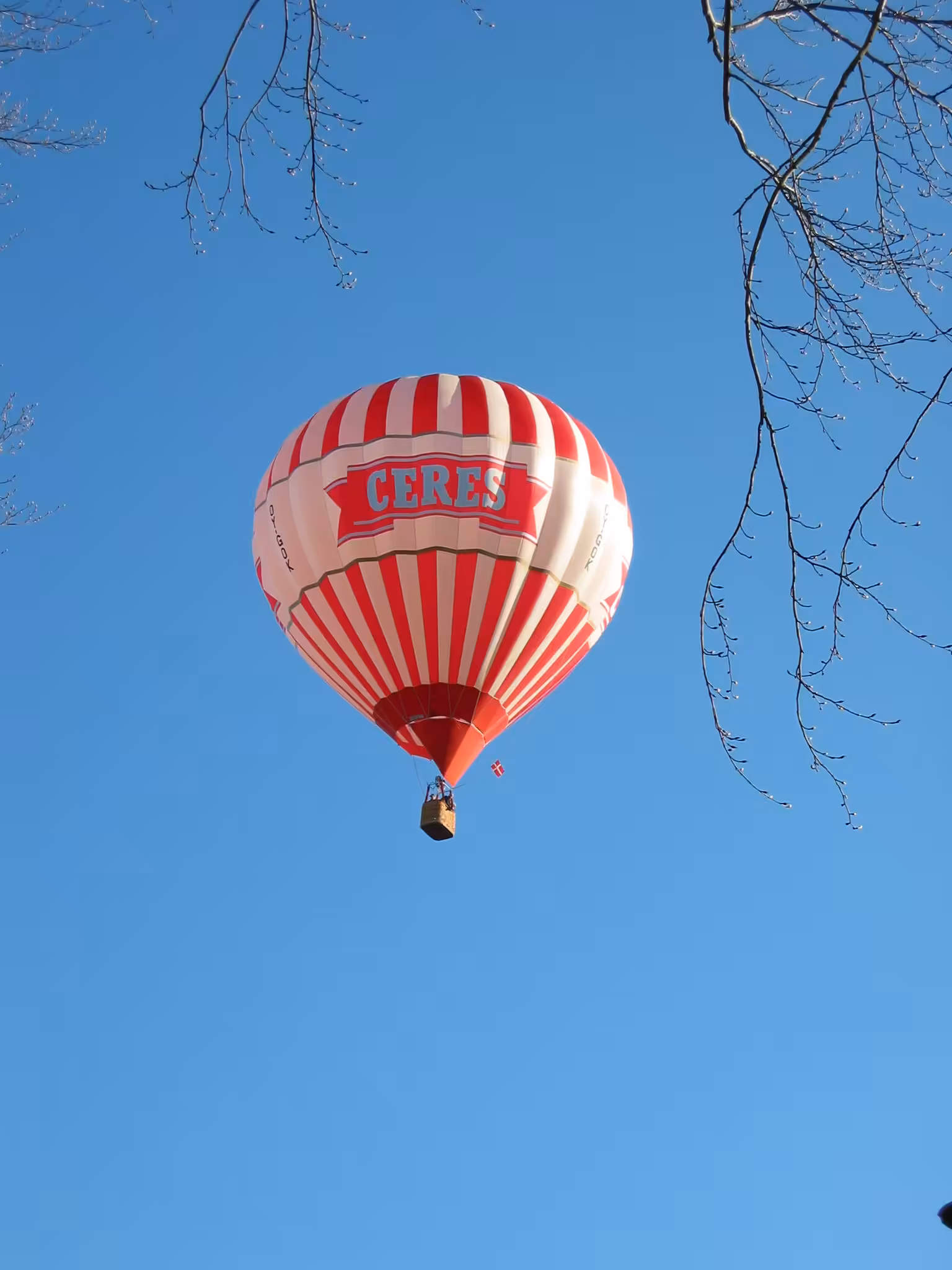 Hot Air Balloon