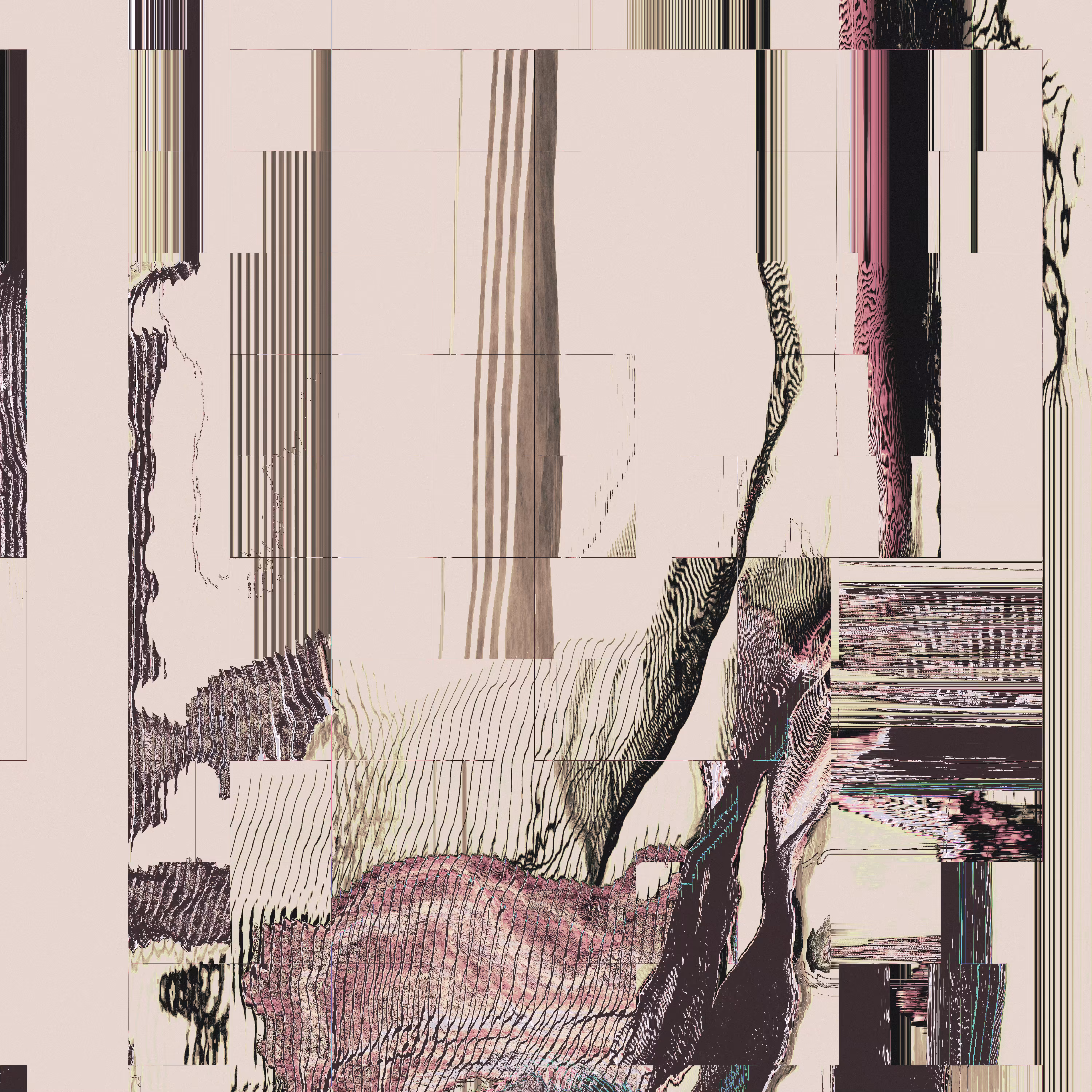 Dig.N.08