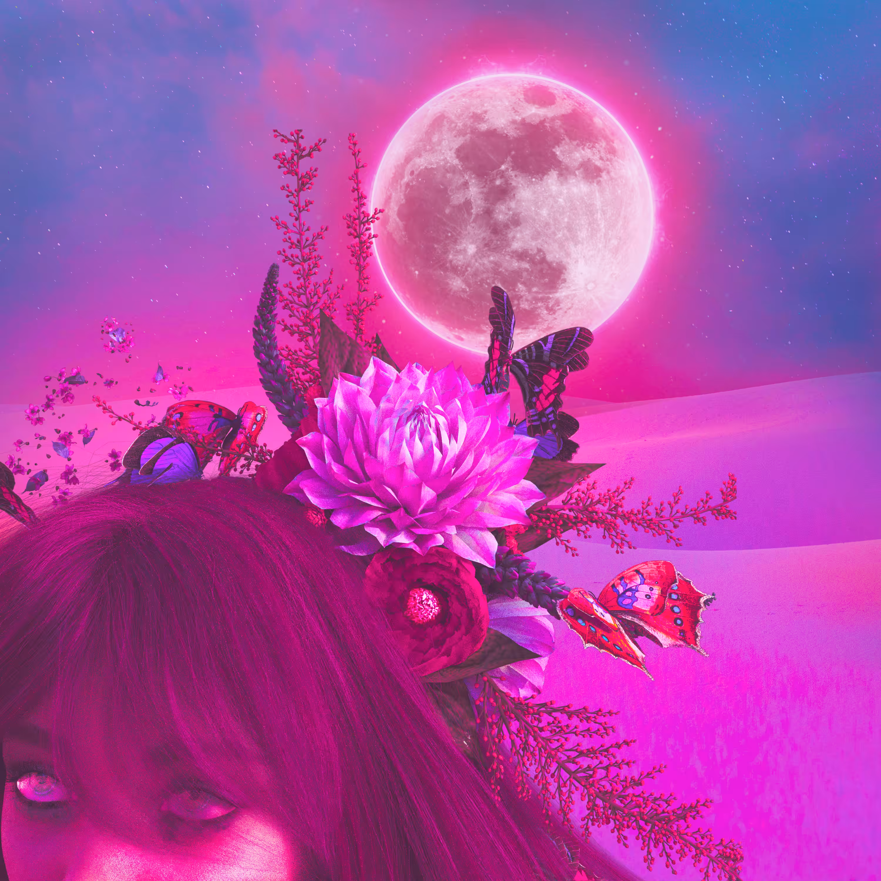 Dreams 