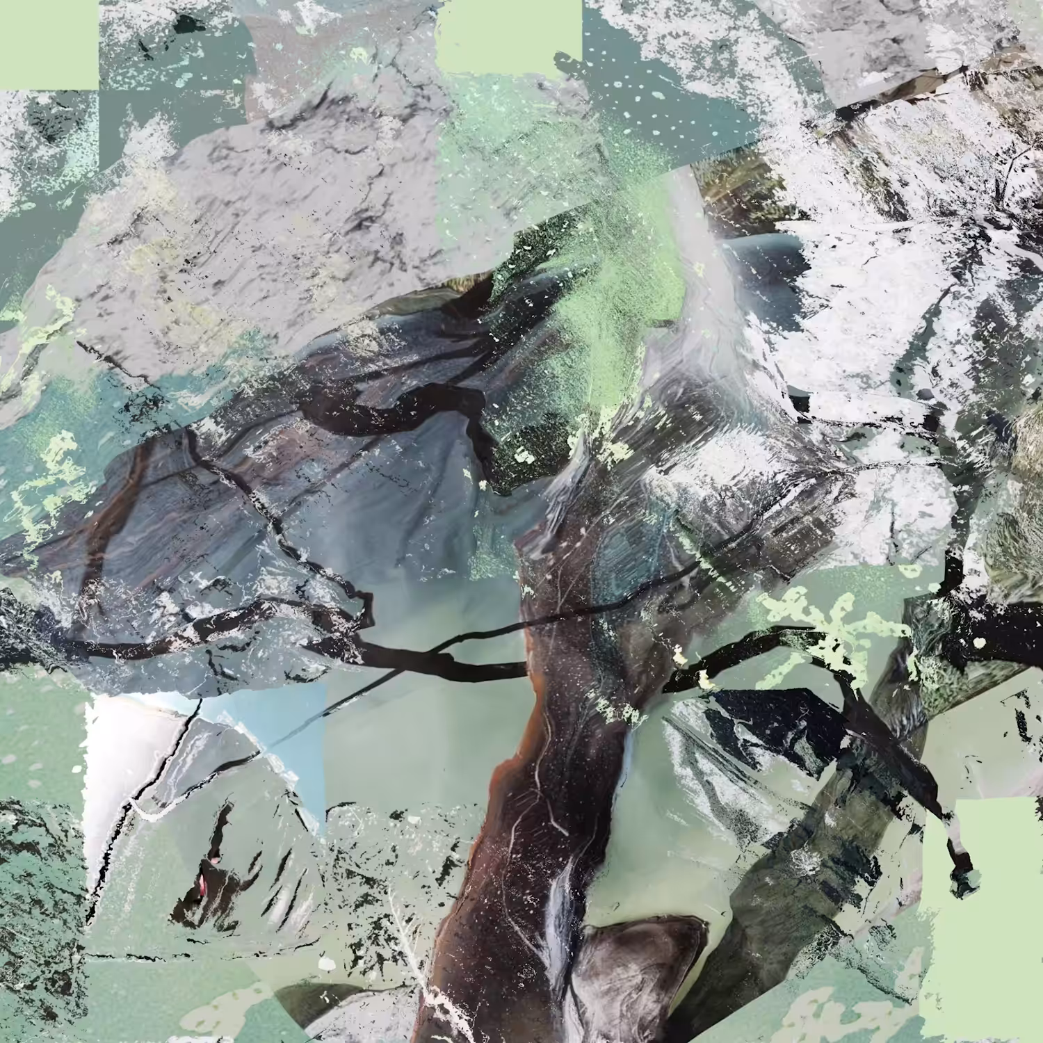Temporal