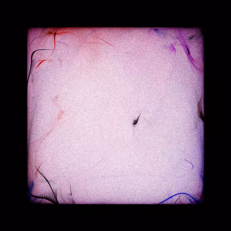 Bifurcation #48