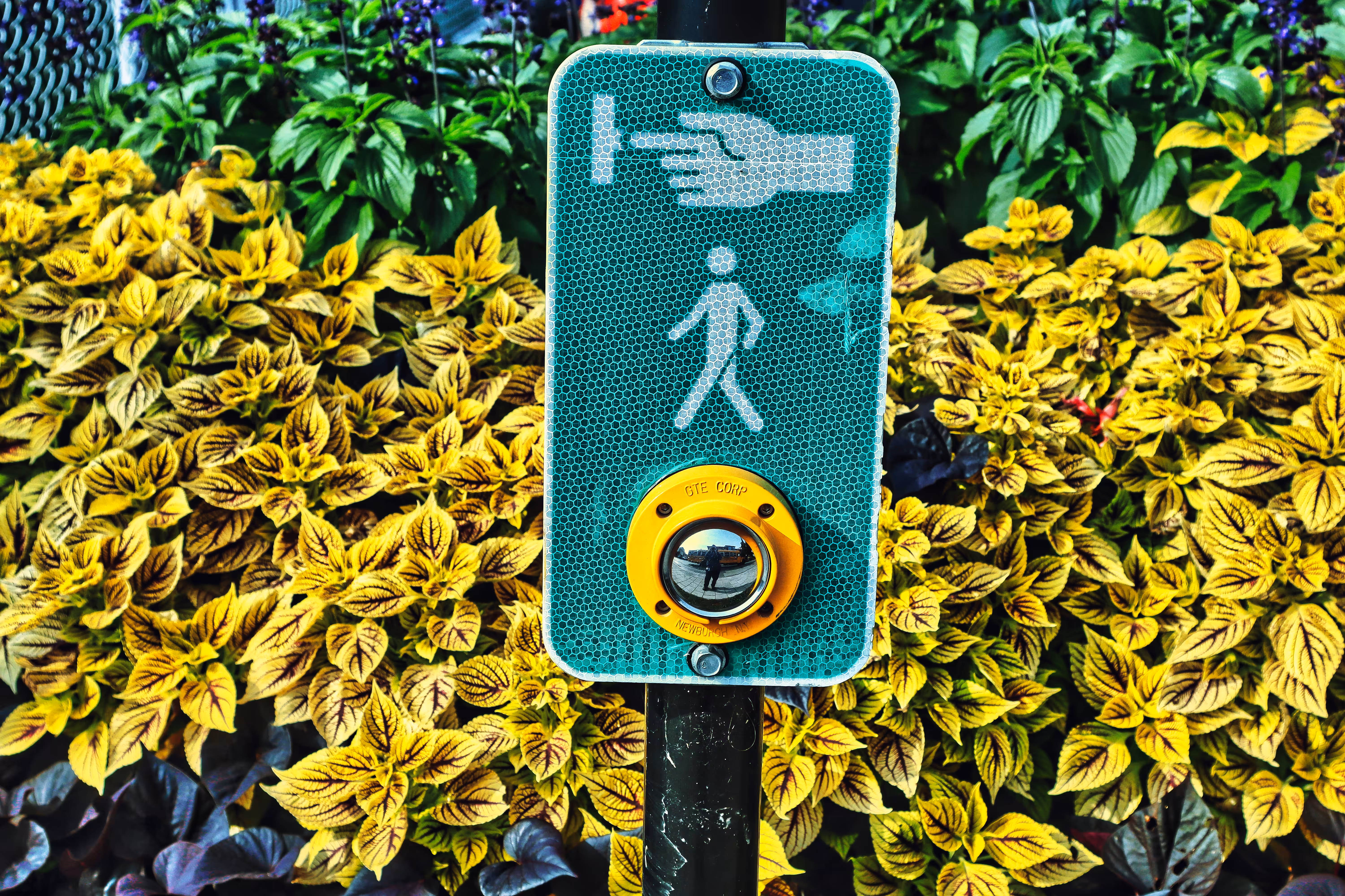 2022: Plants Crossing