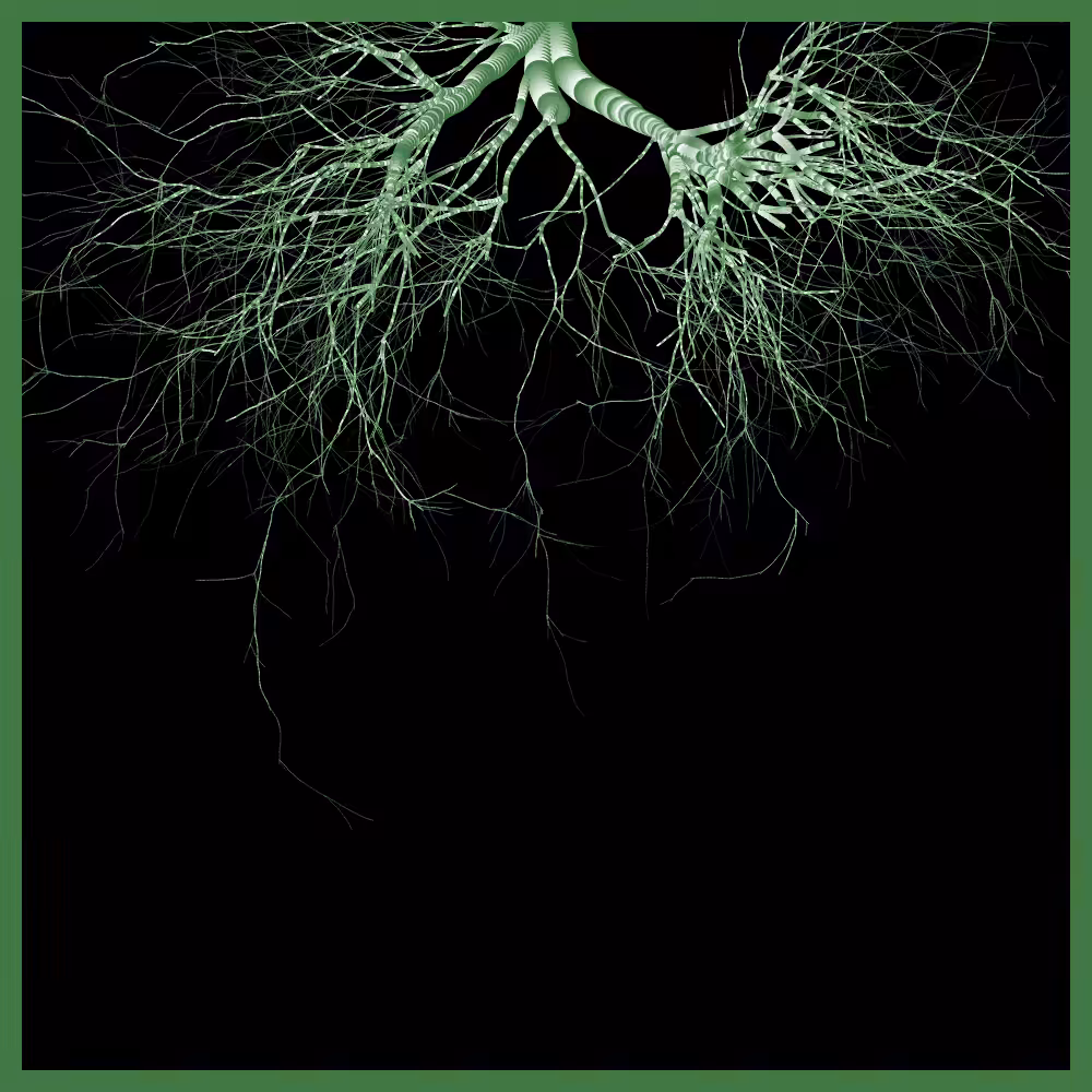 Arbres suspendus #65