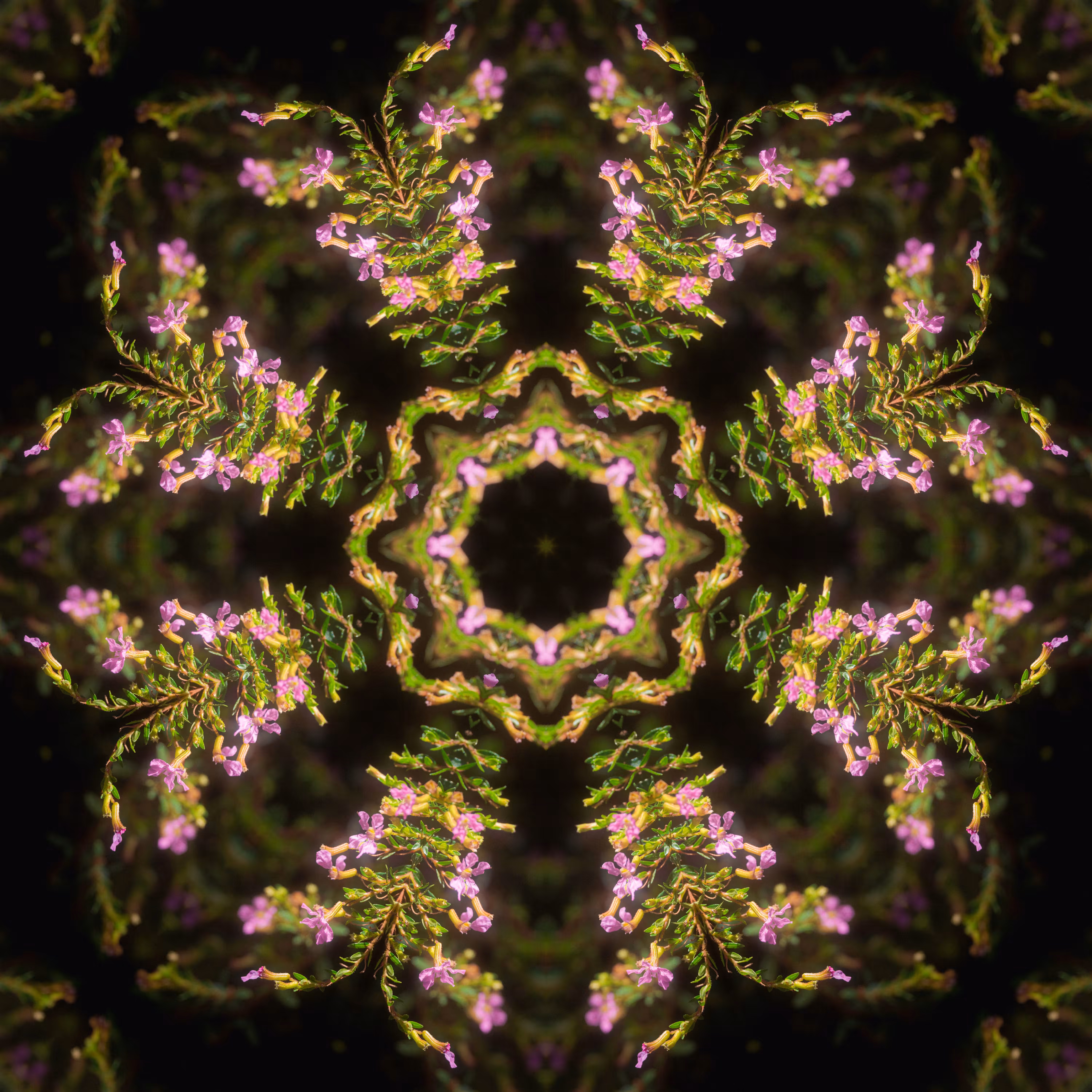 Subject Two - Observation Four