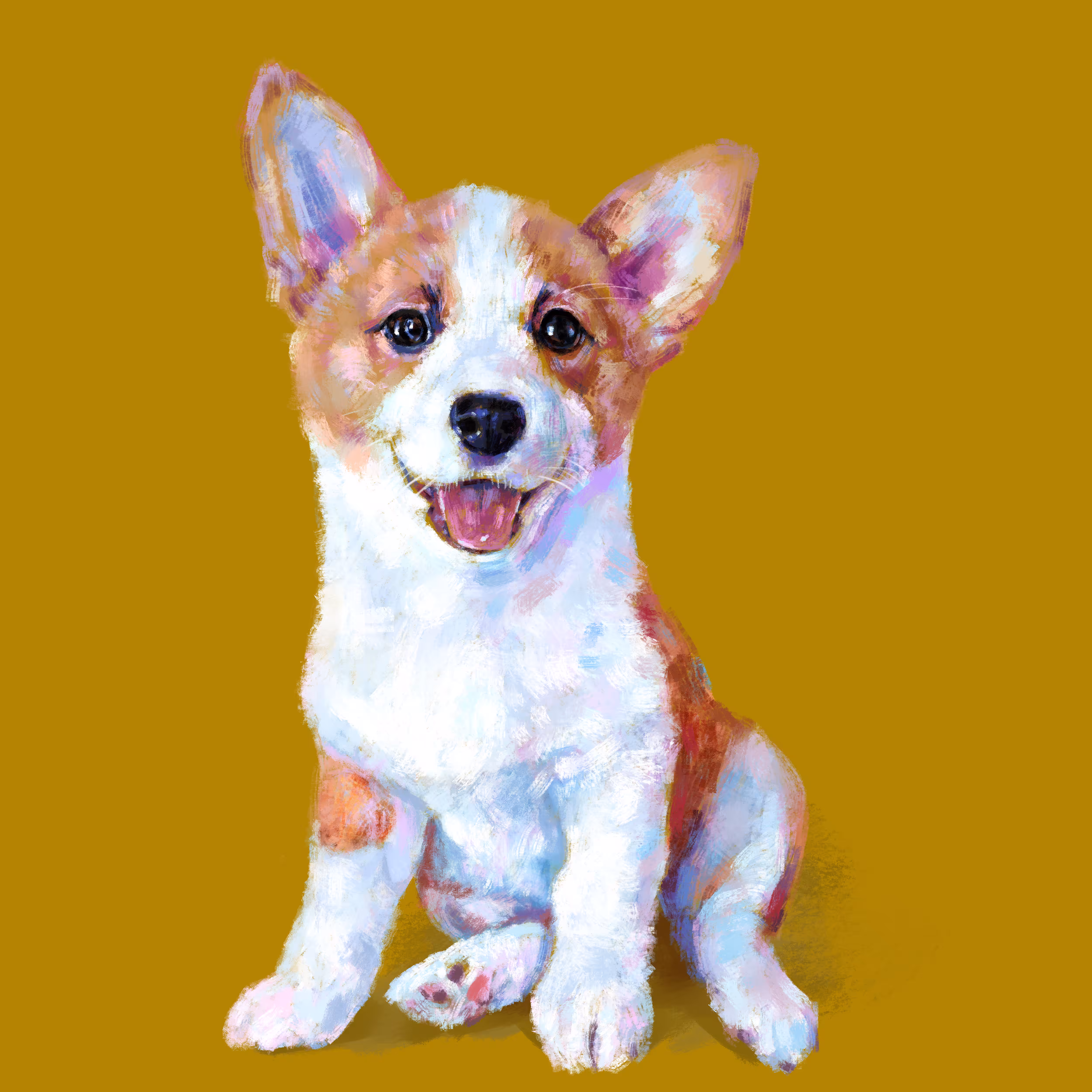 Corgi dog