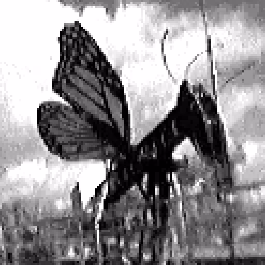 Butterfly #3